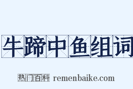 牛蹄中鱼组词是什么意思的图片